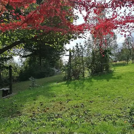 Camping Natural Glamping Eco-tiny House