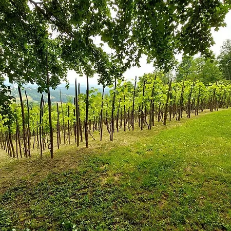 Camping Natural Glamping Eco-tiny House Skocjan (Skocjan)