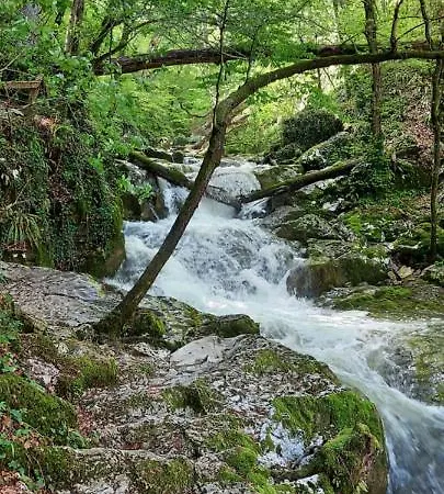 Natural Glamping Eco-tiny House Camping Skocjan (Skocjan)