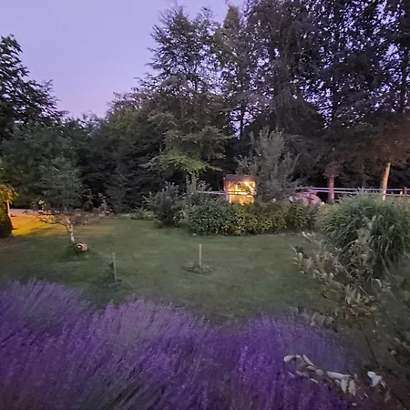 Natural Glamping Eco-tiny House Camping