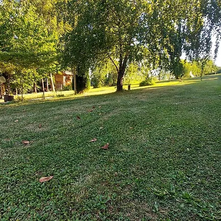 Natural Glamping Eco-tiny House Camping