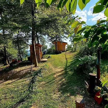 Natural Glamping Eco-tiny House