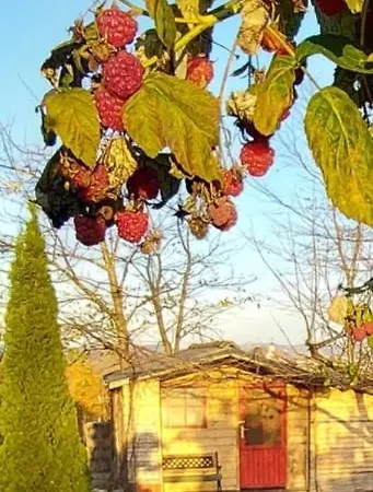 Campsite Natural Glamping Eco-tiny House