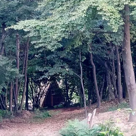 Natural Glamping Eco-tiny House Campsite Skocjan (Skocjan)