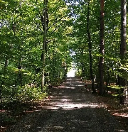 Natural Glamping Eco-tiny House