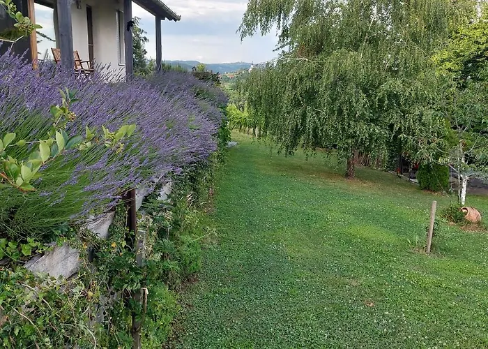 Natural Glamping Eco-tiny House Campeggio *