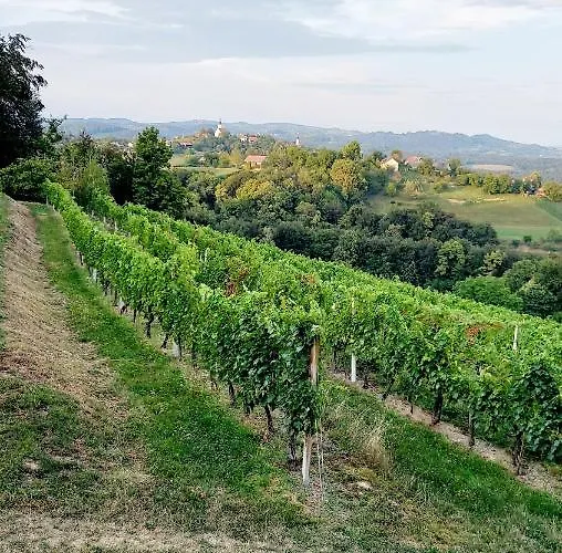 Natural Glamping Eco-tiny House Campeggio Skocjan (Skocjan)