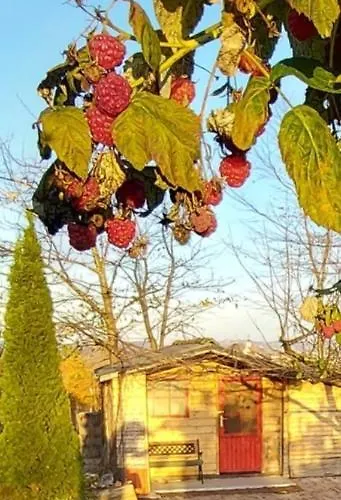 Kamp Natural Glamping Eco-tiny House