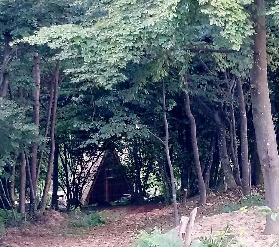 Natural Glamping Eco-tiny House Kamp Skocjan (Skocjan)