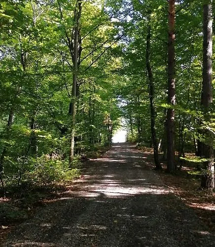 Natural Glamping Eco-tiny House