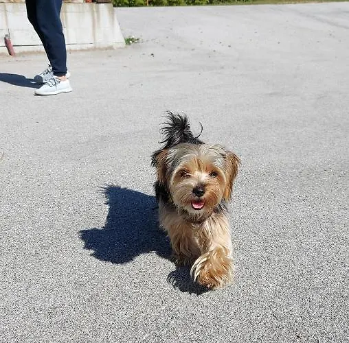 Natural Glamping Eco-tiny House Kamp