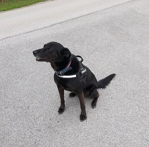 Natural Glamping Eco-tiny House Kamp